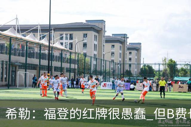 希勒：福登的红牌很愚蠢 但B费也应该被红牌罚下，如果罚就都得罚